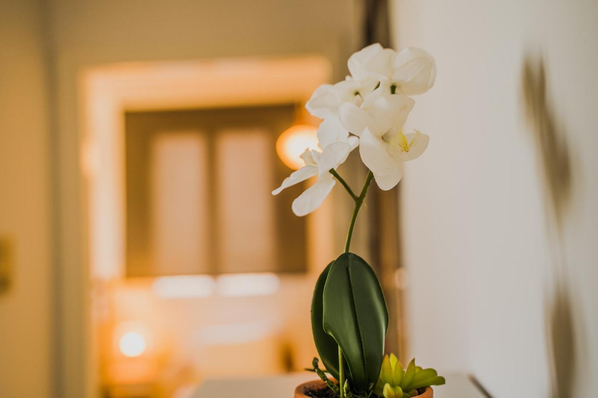 Green Apartment Ground Floor Feel Like Home Properties Saronida エクステリア 写真